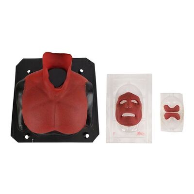 Lot #665 - Hellboy (Ron Perlman) Prosthetic Appliances ### HELLBOY (2004)