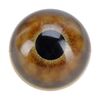 Lot #703 - Baby Triceratops Paint Test Eye ### JURASSIC PARK (1993)
