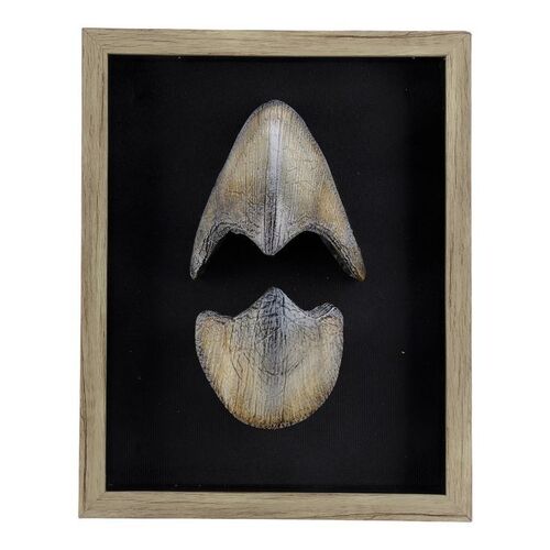 Lot #706 - Framed Baby Triceratops Beak ### THE LOST WORLD: JURASSIC PARK (1997)