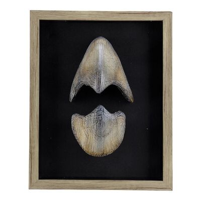Lot #706 - Framed Baby Triceratops Beak ### THE LOST WORLD: JURASSIC PARK (1997)