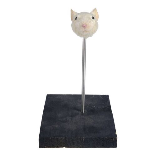 Lot #919 - Stuart Little (Michael J. Fox) SFX Puppet Head ### STUART LITTLE (1999)