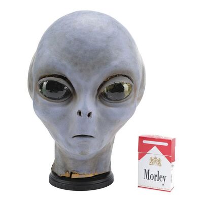 Lot #979 - Alien Head and Morley Cigarette Pack ### THE X-FILES (T.V. SERIES, 1993 - 2002)