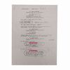 Lot #1026 - Anthony Daniels Collection: Anthony Daniels' Hand-annotated Script ### ROBOT CHICKEN (2005-PRESENT)