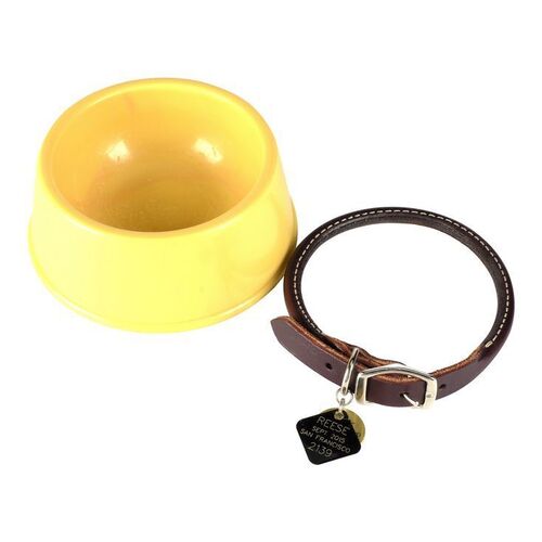 Lot #1111 - Reese's Collar and Bowl ### THE AGE OF ADALINE (2015)