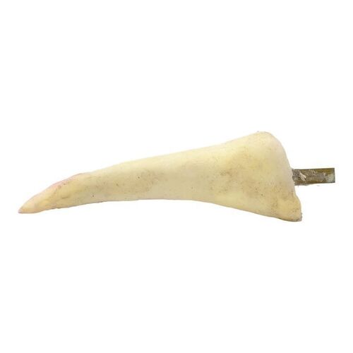 Lot #1116 - Production-Made Neomorph Spine ### ALIEN: COVENANT (2017)