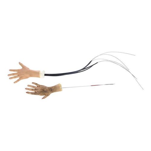 Lot #1125 - Static and SFX Wolf Transformation Hands ### THE AMITYVILLE MOON (2021)