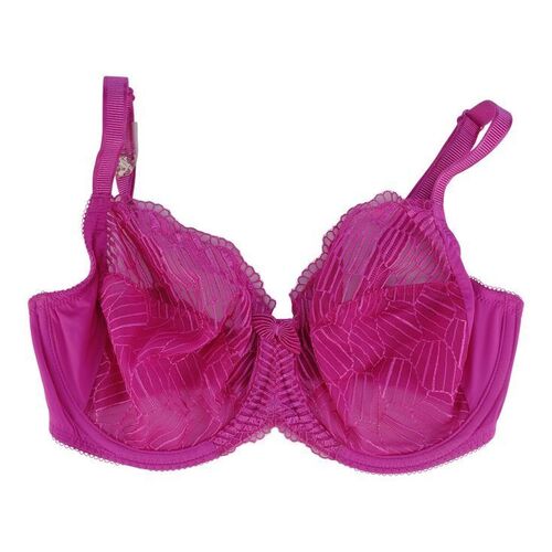 Lot #1292 - Roxanne Chase-Feder's (Salma Hayek) Bra ### GROWN UPS 2 (2013)
