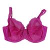 Lot #1292 - Roxanne Chase-Feder's (Salma Hayek) Bra ### GROWN UPS 2 (2013)