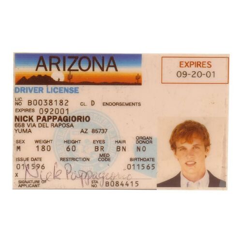 Lot #1437 - Rusty Griswold's (Ethan Embry) Production-Made "Nick Papagiorgio" Fake ID ### NATIONAL LAMPOON'S VEGAS VACATION (1997)
