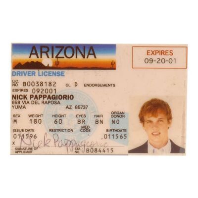 Lot #1437 - Rusty Griswold's (Ethan Embry) Production-Made "Nick Papagiorgio" Fake ID ### NATIONAL LAMPOON'S VEGAS VACATION (1997)