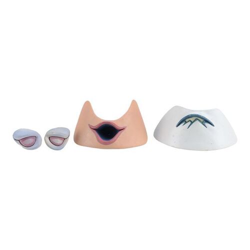 Lot #1444 - Mayor of Halloween Town's (Glenn Shadix) Happy and Sad Face Pieces ### THE NIGHTMARE BEFORE CHRISTMAS (1993)