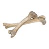 Lot #1496 - Pair of Bones ### RENFIELD (2023)