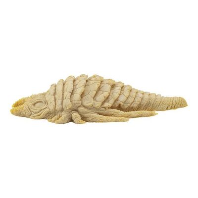 Lot #1549 - Unfinished Ceti Eel Casting ### STAR TREK II: THE WRATH OF KHAN (1982)