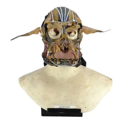 Lot #100 - Aknot the Mangalore's (Clifton Bryan) Animatronic Underskull ### THE FIFTH ELEMENT (1997)