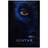 15: Lenticular One Sheet (27" x 40"); Hard Plastic; Very Fine+ ### AVATAR (2009)