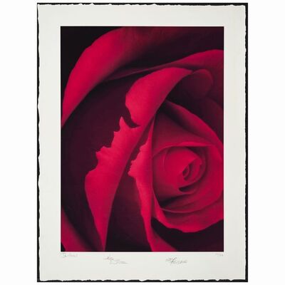 24: Dekled Edge One Sheet (30" x 40") Signed by Gary Trousdale, Kirk Wise, and Don Hahn (JSA COA); 17/29; Very Fine+ Rolled ### BEAUTY AND THE BEAST (1991)