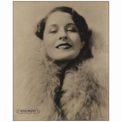 513: Personality Poster (16" x 20"); Very Fine ### NORMA SHEARER (1928)