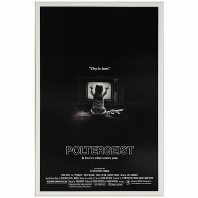 533: One Sheet (27" x 41"); Mint Rolled ### POLTERGEIST (1982)