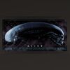 14. Hand-Numbered Limited Edition Print by Kevin M Wilson, 2017 ### ALIEN (1979)