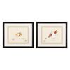 123. Two Framed Original Foghorn Leghorn Animation Cels Autographed by Friz Freleng, 1981 and 1983 ### FOGHORN LEGHORN: VARIOUS PRODUCTIONS (1981 and 1983)