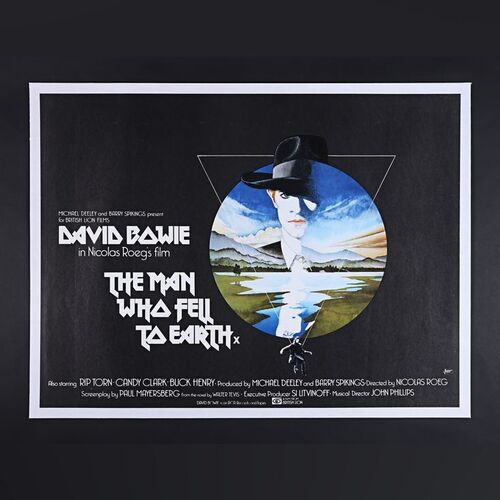 252. UK Quad - Linen-Backed, 1976 ### THE MAN WHO FELL TO EARTH (1976)
