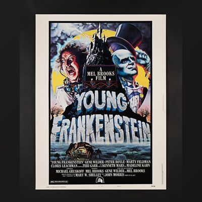 413. US 30 x 40 Poster, 1974 ### YOUNG FRANKENSTEIN (1974)