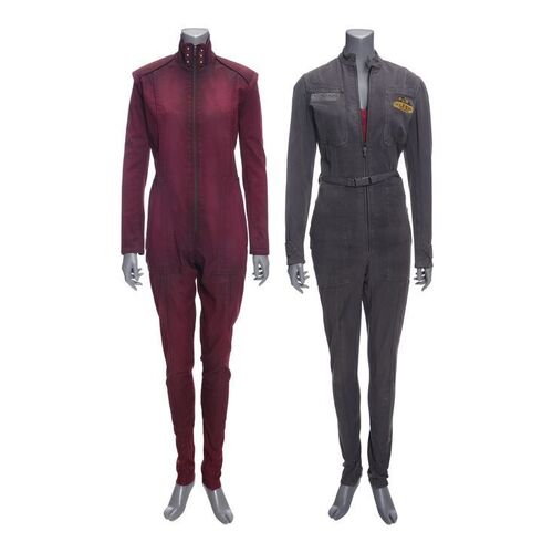 Lot # 133: The Expanse (2015-2022): Naomi Nagata's (Dominique Tipper) Pur & Kleen and Red Coveralls