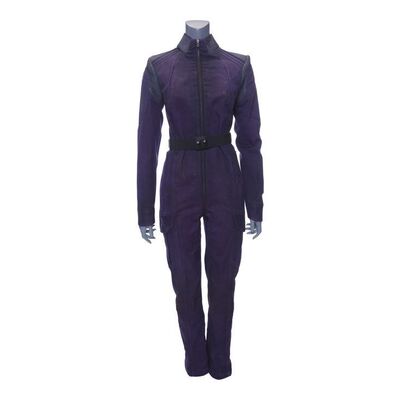 Lot # 229: The Expanse (2015-2022): Camina Drummer's (Cara Gee) Dewalt Ship Uniform