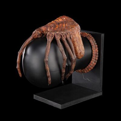 11. Special Effects Facehugger ### ALIEN (1979)