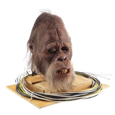 165. Cable-Controlled Harry Mask ### HARRY AND THE HENDERSONS (1987)