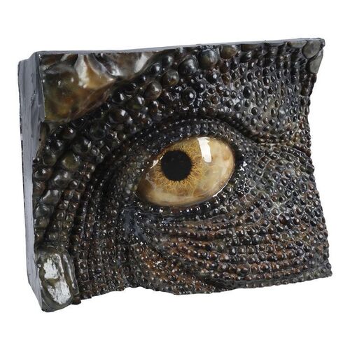 192. T-Rex Eye Reference Eye in Socket Display ### JURASSIC PARK (1993)