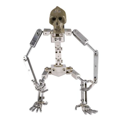 240. Stop-Motion Puppet Armature from Original Production Armature Replica ### MIGHTY JOE YOUNG (1949)