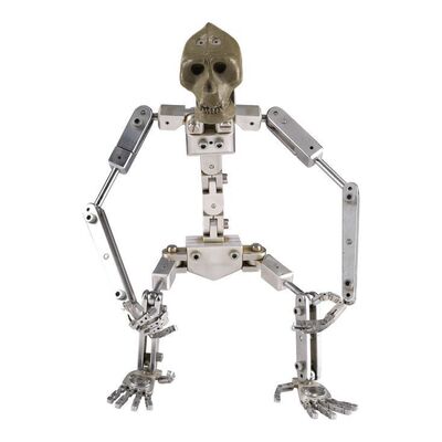 240. Stop-Motion Puppet Armature from Original Production Armature Replica ### MIGHTY JOE YOUNG (1949)