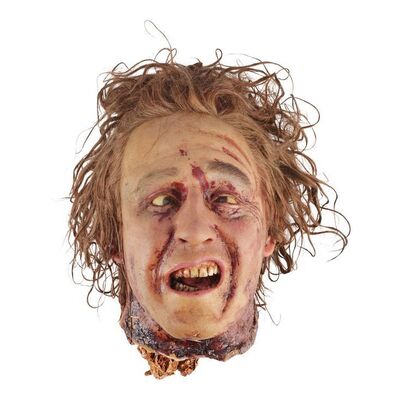 457. Damien Cockburn's (Steve Coogan) Severed Head ### TROPIC THUNDER (2008)