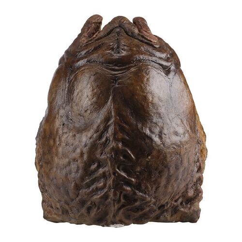 511. Static Xenomorph Egg ### ALIEN RESURRECTION (1997)