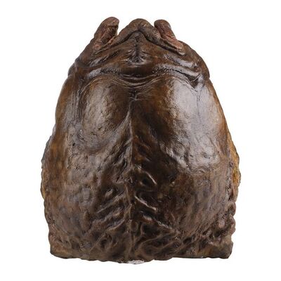 511. Static Xenomorph Egg ### ALIEN RESURRECTION (1997)