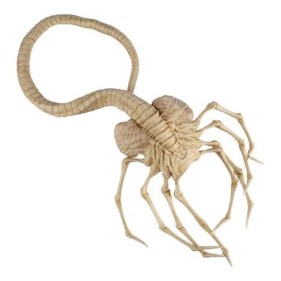 517. Xenomorph Facehugger ### ALIEN: COVENANT (2017)