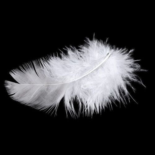 849. Forrest Gump's (Tom Hanks) Feather ### FORREST GUMP (1994)