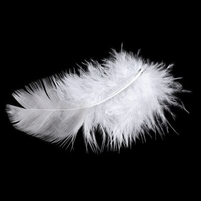 849. Forrest Gump's (Tom Hanks) Feather ### FORREST GUMP (1994)