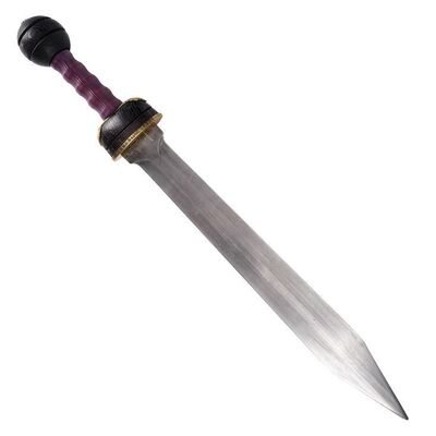 893. Praetorian Aluminum Sword ### GLADIATOR (2000)