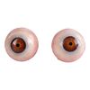 928. Pair of Mogwai Test Eyes ### GREMLINS 2: THE NEW BATCH (1990)