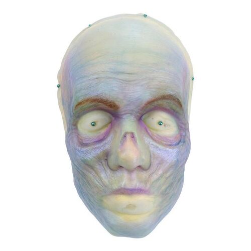 948. The Bride's (Lindsay Lamb) Facial Appliance on Head Display ### THE HAUNTED MANSION (2023)