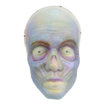 948. The Bride's (Lindsay Lamb) Facial Appliance on Head Display ### THE HAUNTED MANSION (2023)