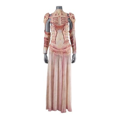 957. The Priest's (Jamie Clayton) Cenobite Dress ### HELLRAISER (2022)