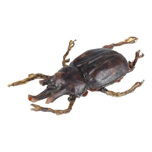 992. Pankot Palace Banquet Beetle ### INDIANA JONES AND THE TEMPLE OF DOOM (1984)