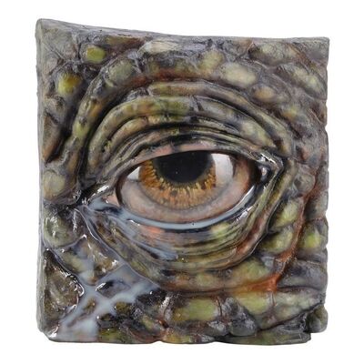 1047. Sick Triceratops Reference Eye in Socket Display ### JURASSIC PARK (1993)