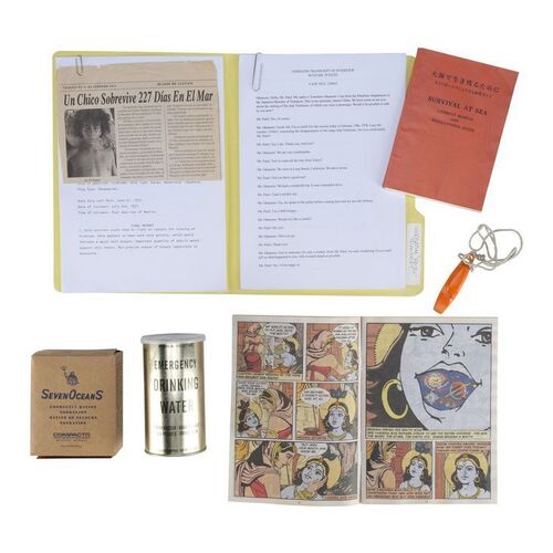 1089. Comic Book, Accident Report, Newspaper Article, and Survival Supplies ### LIFE OF PI (2012)