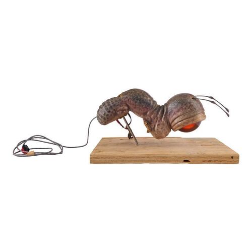 1168. Animatronic Cycloptic Worm Alien ### MEN IN BLACK 3 (2012)