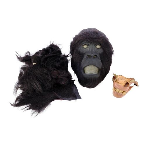 1173. Production-Made Mighty Joe Head Parts Set with Hand-Punched Skin ### MIGHTY JOE YOUNG (1998)