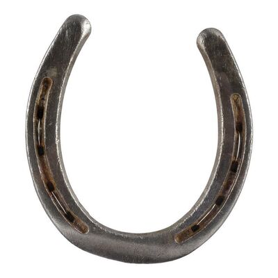 1180. Mister Ed's (Allan Lane) Horseshoe Display ### MISTER ED (T.V. SERIES, 1961 - 1966)